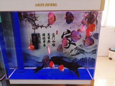 魚缸造景教程：風(fēng)景魚缸制作視頻教程，風(fēng)景魚缸制作視頻教程：風(fēng)景魚缸制作教程 魚缸百科