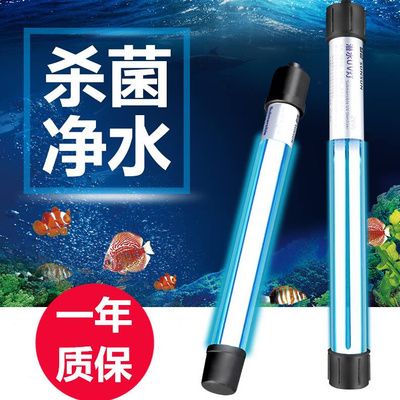 魚缸換水時(shí)使用殺菌燈需謹(jǐn)慎使用紫外線殺菌燈需謹(jǐn)慎使用：使用殺菌燈的注意事項(xiàng) 魚缸百科 第2張