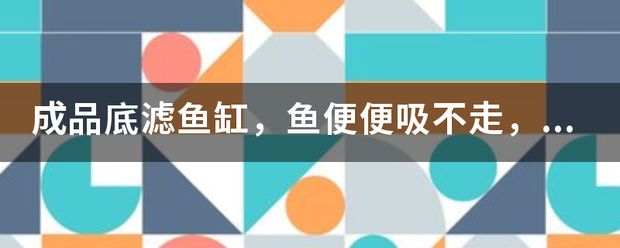 底濾魚缸過濾系統(tǒng)是保持過濾效果的原理是將水通過過濾介：如何提高底濾魚缸的過濾效果 魚缸百科 第3張