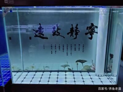 給魚缸換水的步驟和注意事項：養(yǎng)魚水質(zhì)管理全攻略 魚缸百科 第1張