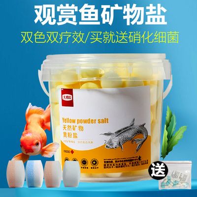 鹽水可以用于魚缸的消毒嗎？：海鹽可以用于魚缸的消毒以下是詳細(xì)的解釋以下是詳細(xì)的解釋 魚缸百科 第2張