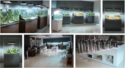 廣州魚缸水族箱批發(fā)店：廣州水族文化探秘 魚缸百科 第1張