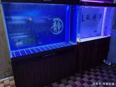 魚(yú)缸品牌大全高端魚(yú)缸品牌大全高端魚(yú)缸品牌排行榜：高檔魚(yú)缸品牌大全 魚(yú)缸百科 第4張