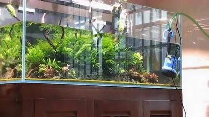 給魚缸換水是否可以使用自來水？：給魚缸換水不建議直接使用自來水處理方法是晾曬法 魚缸百科 第4張