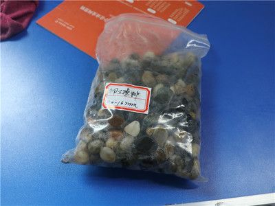 鄭州鞏義市水族用品市場分析：鞏義市寵物文化探秘鞏義市寵物文化探秘鞏義市寵物文化 魚缸百科 第3張