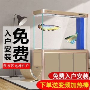 底濾魚缸需要換水，且換水的頻率和方法應(yīng)根據(jù)具體情況調(diào)整：養(yǎng)魚老道的養(yǎng)魚秘籍 魚缸百科 第4張