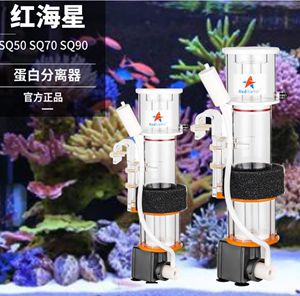 魚缸蛋白分離器的使用：diy海水缸蛋白分離器選擇蛋白分離器的使用方法 魚缸百科 第1張