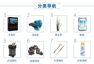 觀賞魚缸過濾器材選擇合適的過濾器材是非常重要的：水族箱養(yǎng)護(hù)全攻略