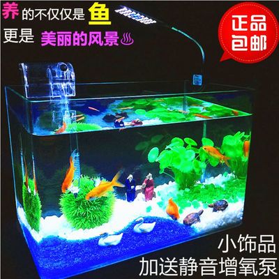 魚缸水質管理的重要性，你了解多少？：魚缸換水的重要性 魚缸百科 第1張