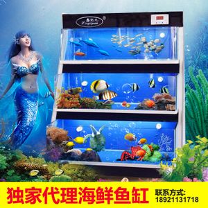 生態(tài)魚缸的構建和維護：廣州市東坦魚缸有限公司提供魚缸定做的服務與維護 魚缸百科 第2張