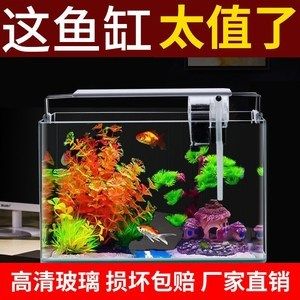 恒溫魚缸換水的方法：家庭養(yǎng)魚常見誤區(qū)解析 魚缸百科 第2張