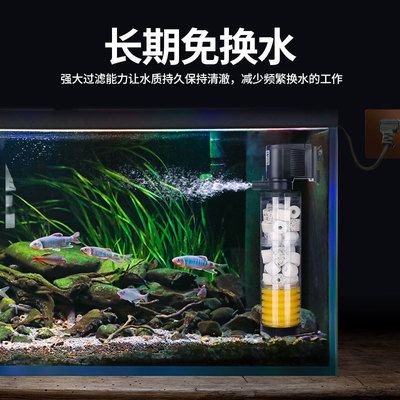 恒溫魚缸換水的方法：家庭養(yǎng)魚常見誤區(qū)解析 魚缸百科 第3張