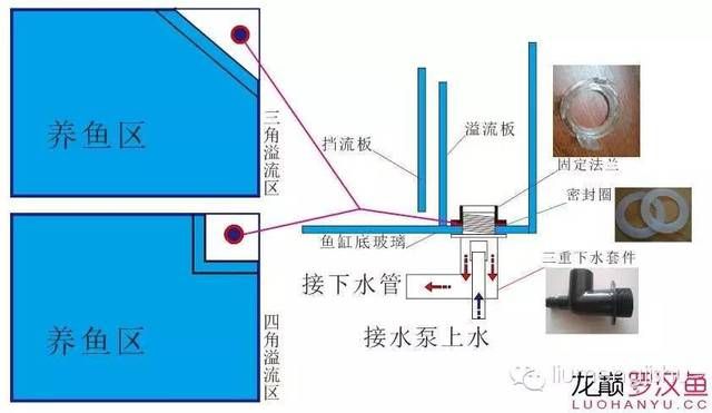 魚缸三重溢流和直角溢流對(duì)比分析：底濾魚缸三重溢流和直角溢流哪個(gè)好 魚缸百科 第1張