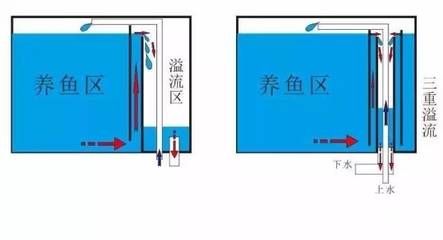 魚缸三重溢流和直角溢流對比分析：底濾魚缸三重溢流和直角溢流哪個好 魚缸百科 第4張