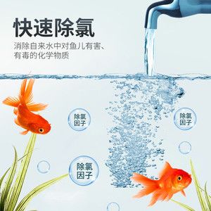 水族箱生態(tài)系統(tǒng)的平衡維護(hù)水族箱的平衡維護(hù)水質(zhì)穩(wěn)定：如何正確養(yǎng)護(hù)水族箱 魚(yú)缸百科 第1張