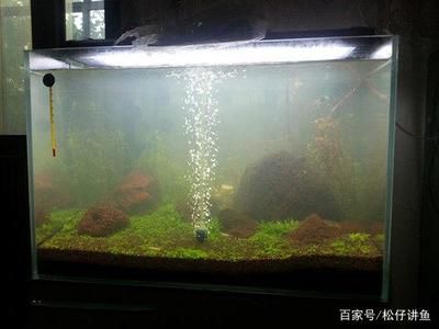 魚缸過濾材料的選擇指南：魚缸過濾、生物過濾、生物過濾和化學(xué)過濾材料擺放建議 魚缸百科 第1張