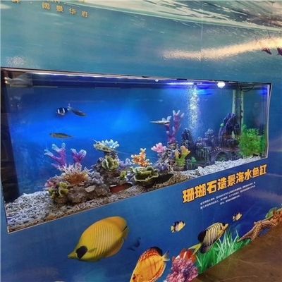 海水魚缸的價格范圍和養(yǎng)護技巧：海水魚缸價格可以根據(jù)不同尺寸、材質和配置有很大差異 魚缸百科 第4張