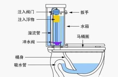 虹吸原理在魚(yú)缸中的應(yīng)用有哪些：虹吸原理在制造業(yè)中的應(yīng)用