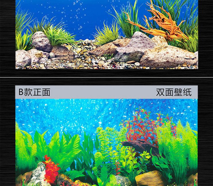 制作魚缸背景貼紙時有幾個關(guān)鍵步驟需要注意以下步驟：diy自制魚缸背景貼紙 魚缸百科 第3張