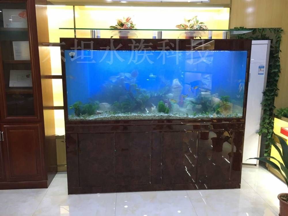 廣州定做大型魚缸的價格是多少：廣州定做大型魚缸價格 魚缸百科 第3張