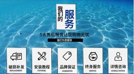 廣州魚缸定做的設(shè)計(jì)流程：如何選擇魚缸定做廠家 魚缸百科 第4張