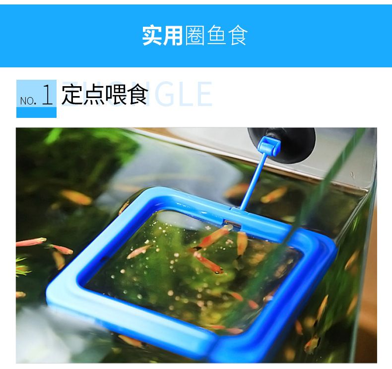 魚缸自動(dòng)喂食器的選購指南：封閉式魚缸如何安裝喂食器 魚缸百科 第2張