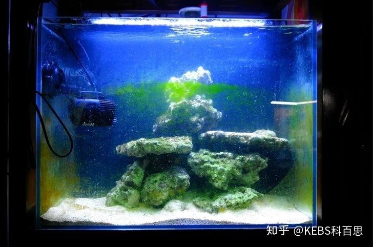 魚缸十大品牌排行榜前十名魚缸品牌排行榜前十名：國內(nèi)魚缸十大品牌大全