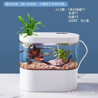 底濾魚缸維護(hù)與優(yōu)化：底濾小魚缸是一種常見水族生態(tài)系統(tǒng)的構(gòu)建與生態(tài)系統(tǒng) 魚缸百科 第1張