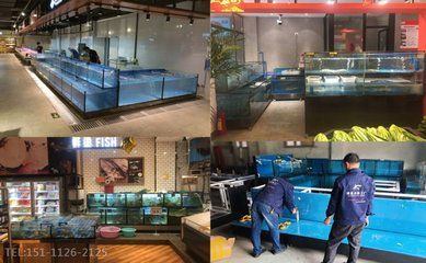 淄博桓臺縣多家店鋪銷售魚缸：桓臺縣多家店鋪銷售魚缸 魚缸百科 第2張