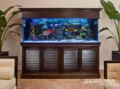 海水魚缸生態(tài)系統(tǒng)的換水技巧和方法和方法和方法：海水魚缸換水技巧 魚缸百科 第3張