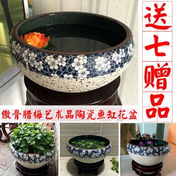 花盆改造成魚(yú)缸需要考慮的關(guān)鍵步驟是堵住花盆底部的孔洞：diy魚(yú)缸改造成魚(yú)缸需要考慮的關(guān)鍵步驟是堵住花盆底部的孔洞 魚(yú)缸百科 第3張