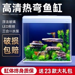 熱彎玻璃魚缸的安全使用指南：浮法熱彎玻璃魚缸使用注意事項