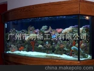 廣州魚缸定制公司哪家好：廣州定制魚缸設(shè)計(jì)公司