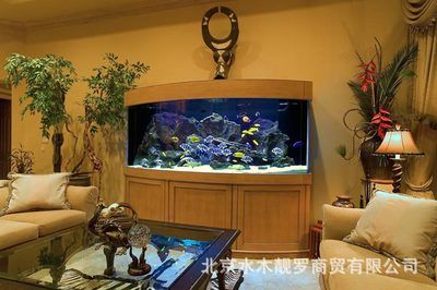 海水魚缸與淡水魚缸的區(qū)別：廣州佳穎水族園藝景觀有限公司魚缸設(shè)計(jì)的藝術(shù)魚缸設(shè)計(jì)