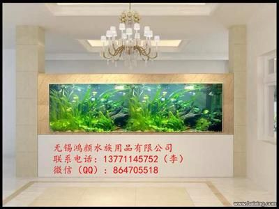 海水魚缸與淡水魚缸的區(qū)別：廣州佳穎水族園藝景觀有限公司魚缸設(shè)計(jì)的藝術(shù)魚缸設(shè)計(jì)