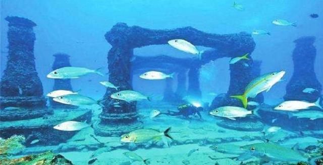 海王水族用品公司的研發(fā)歷程：海王水族用品公司的信息 魚(yú)缸百科 第3張