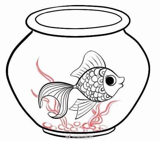 金魚飼養(yǎng)的誤區(qū)與真相：如何給金魚換魚缸 魚缸百科 第4張