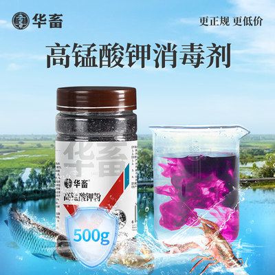 魚缸消毒的幾種方法：如何給魚缸徹底消毒 魚缸百科 第1張