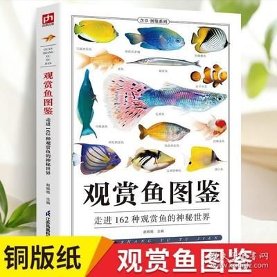 黑魚的飼養(yǎng)方法和注意事項(xiàng)：黑魚在魚缸中養(yǎng)殖需要注意水質(zhì)、飼料和疾病預(yù)防等方面 魚缸百科 第3張