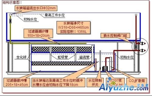 魚缸底濾的工作原理：底濾魚缸的上水方法主要是通過溢流的方式實現(xiàn)的 魚缸百科 第1張