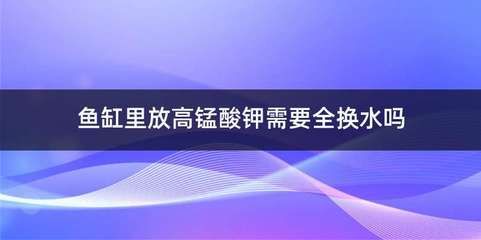 高錳酸鉀溶液泡魚(yú)缸時(shí)間詳解高錳酸鉀溶液泡魚(yú)缸時(shí)間：關(guān)于高錳酸鉀溶液泡魚(yú)缸時(shí)間的詳細(xì)指南