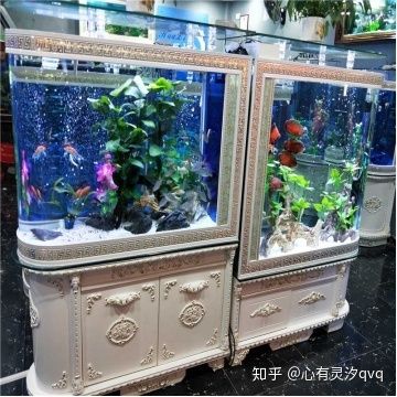 高級水族箱魚缸安裝視頻教程vision完勝品牌魚缸：高級水族箱魚缸安裝教程