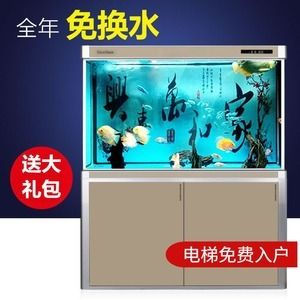 魚缸底濾的工作原理：養(yǎng)魚新手入門指南 魚缸百科 第1張