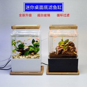 水草缸改造的藝術(shù)與技巧：底濾魚缸改造成水草缸改造成水草缸的藝術(shù)與藝術(shù)與技巧 魚缸百科 第3張