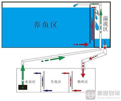 底濾魚缸漏水的原因及解決方案：底濾魚缸換水泵的工作原理及解決方案有助于更換底濾魚缸漏水 魚缸百科 第2張