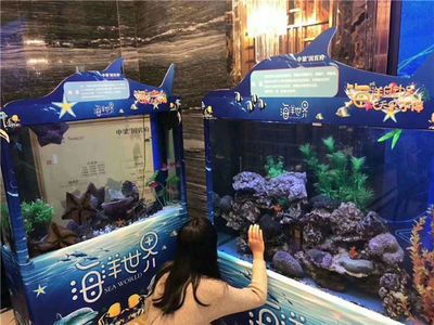 海洋生物租賃的興起：關于魚缸轉(zhuǎn)讓的一些問題 魚缸百科 第1張