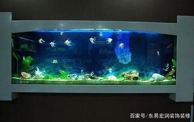 魚缸的形狀對家居風水有影響：風水魚缸的形狀對家居風水有著一定的影響 魚缸百科 第2張