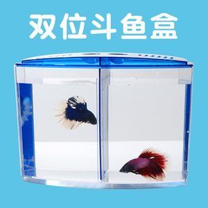 觀景小魚缸造景教程:家居水景-簡單的小魚缸造景教程：觀景小魚缸制作方法 魚缸百科 第4張