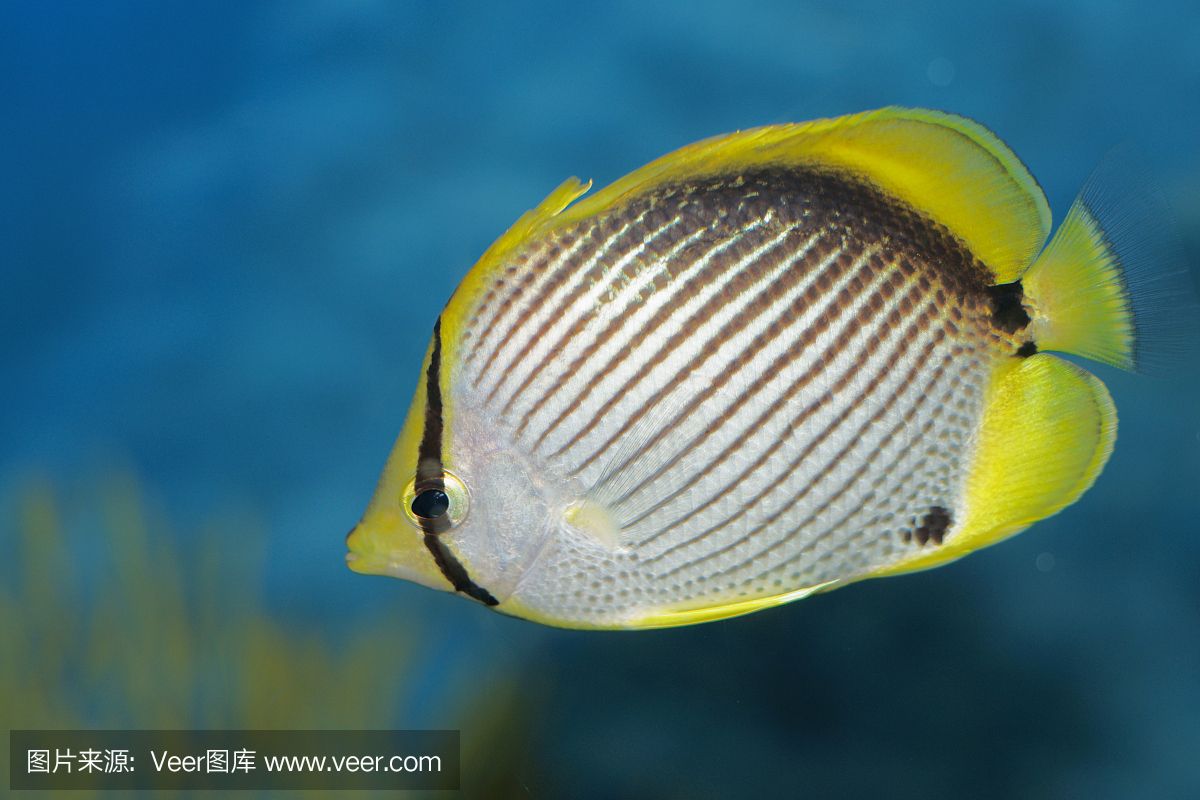 選擇魚(yú)缸時(shí)需要考慮的問(wèn)題：如何選擇魚(yú)缸 魚(yú)缸百科 第4張