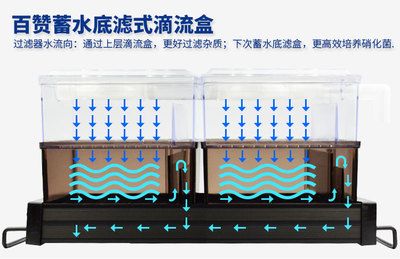 底濾魚缸的基本結(jié)構(gòu)：底濾魚缸底濾魚缸的基本構(gòu)造及其各個部分作用 魚缸百科 第3張